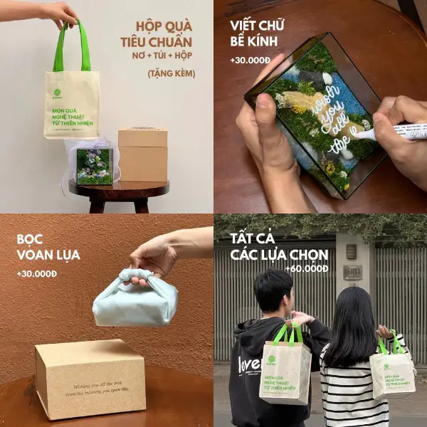 Hộp Rêu Nghệ Thuật Để Bàn JN-QT19 – Đồ Decor Chữa Lành, Quà Tặng Độc Bản Ý Nghĩa tại Đà Nẵng