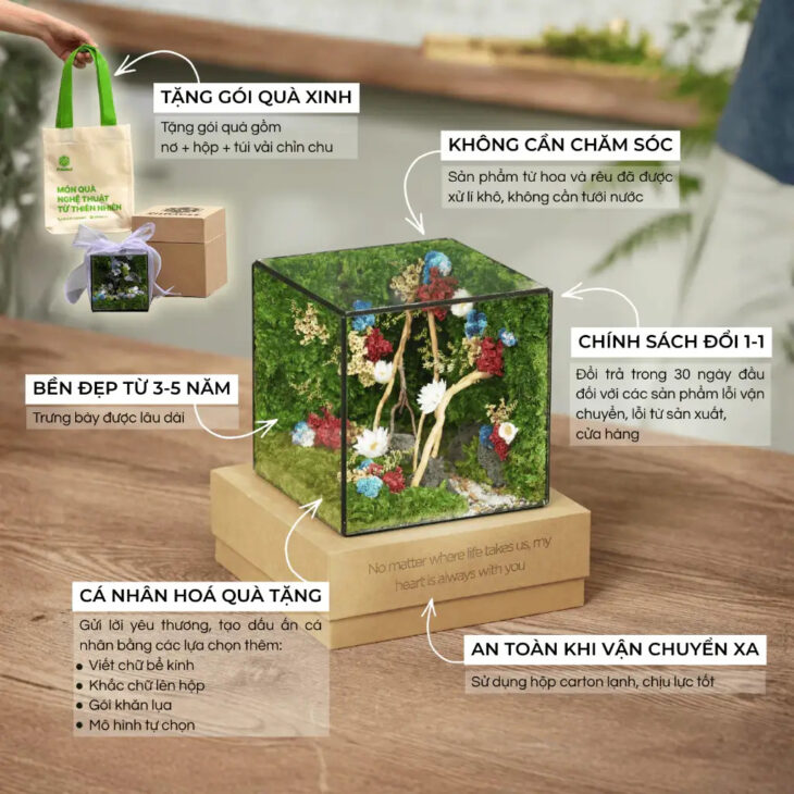 Hộp Rêu Nghệ Thuật Để Bàn JN-QT19 – Đồ Decor Chữa Lành, Quà Tặng Độc Bản Ý Nghĩa tại Đà Nẵng