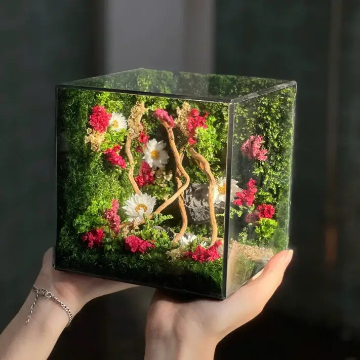 Hộp Rêu Nghệ Thuật Để Bàn JN-QT19 – Đồ Decor Chữa Lành, Quà Tặng Độc Bản Ý Nghĩa tại Đà Nẵng