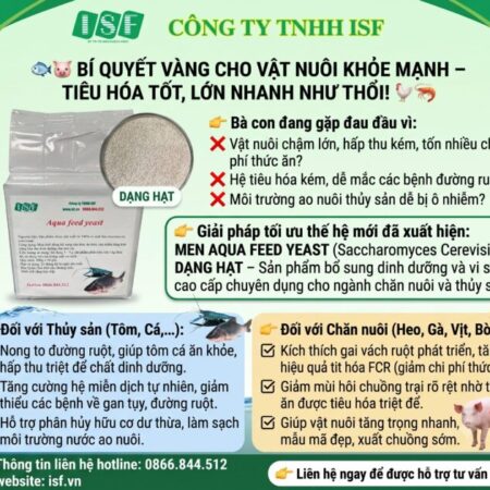 BÍ QUYẾT VÀNG CHO TÔM CÁ KHỎE MẠNH