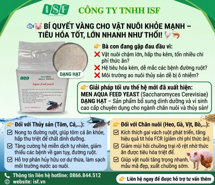 BÍ QUYẾT VÀNG CHO TÔM CÁ KHỎE MẠNH