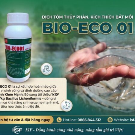 ⭐️ BỘ BA VI SINH CAO CẤP 3 TRONG 1 – GIẢI PHÁP VÀNG CHO THỦY SẢN & CHĂN NUÔI:⭐️