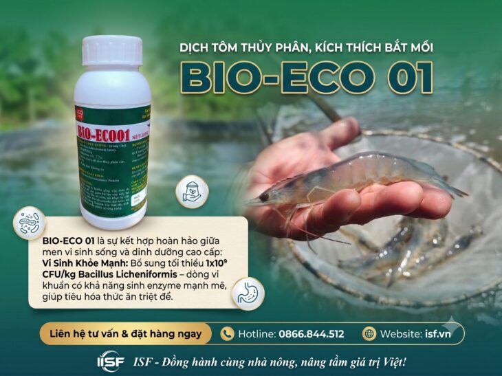 ⭐️ BỘ BA VI SINH CAO CẤP 3 TRONG 1 – GIẢI PHÁP VÀNG CHO THỦY SẢN & CHĂN NUÔI:⭐️