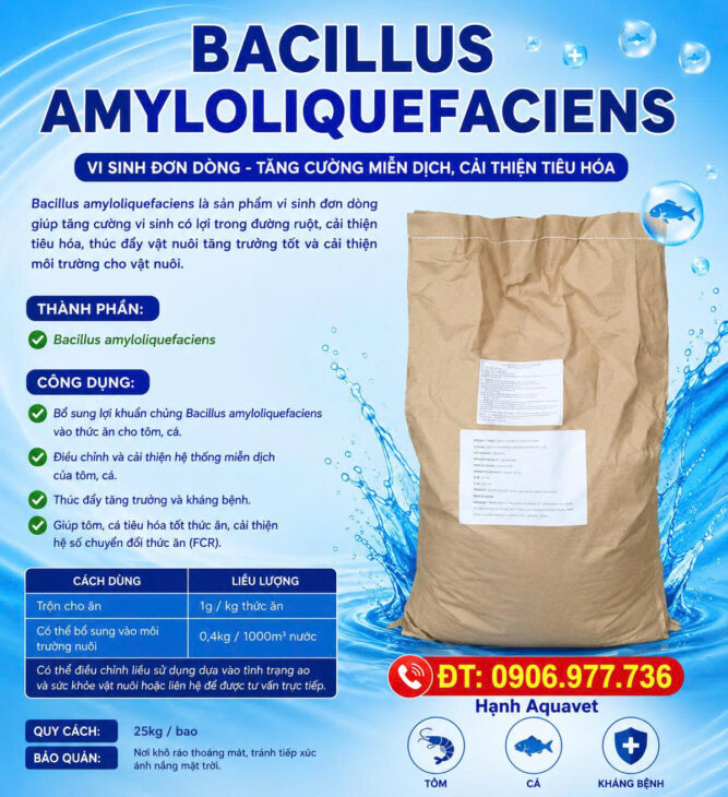 Bacillus đơn dòng tăng cường miễn dịch, tiêu hoá