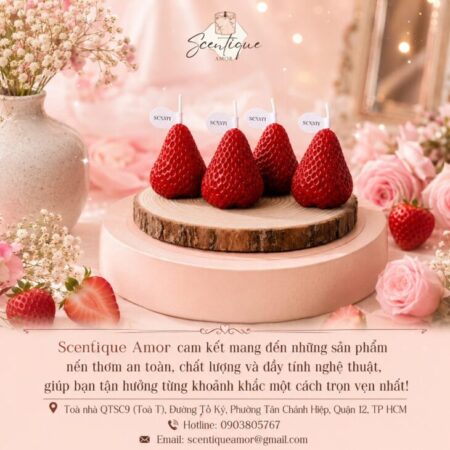 Nến Thơm Quả Dâu Tây Nến Thơm Quả Dâu Tây