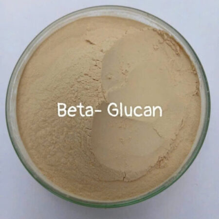 Beta-Glucan chiết xuất từ vách tế bào nấm men