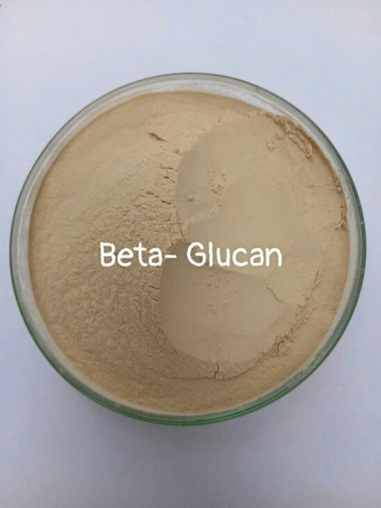 Beta-Glucan chiết xuất từ vách tế bào nấm men