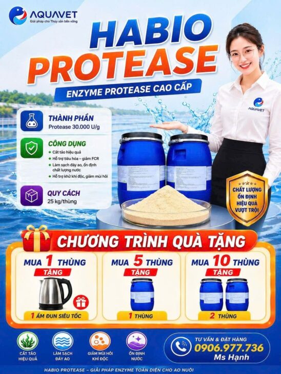 Enzyme cắt tảo hiệu quả