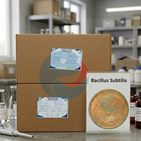 BACILLUS SUBTILIS NHẬP KHẨU – VI SINH ĐƠN DÒNG
